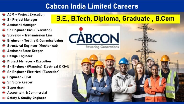 bimgrafX India Job Vacancy