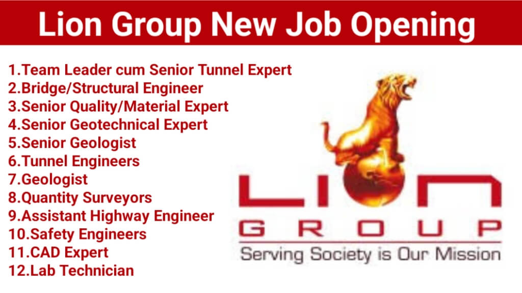 Lion Group New Job Opening